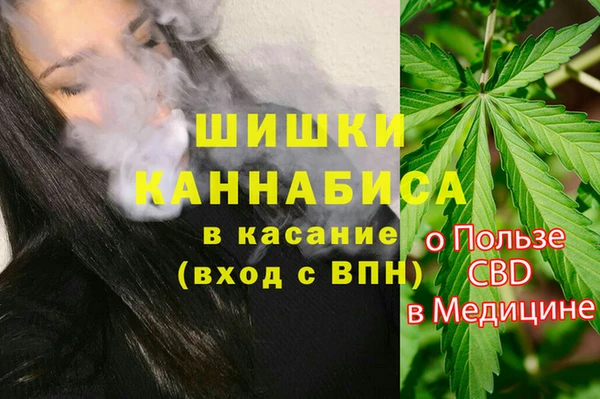 твердый Магас