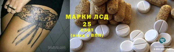 твердый Магас