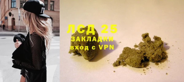 твердый Магас