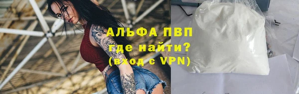 твердый Магас