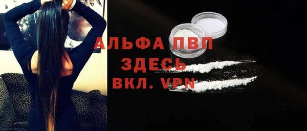 твердый Магас