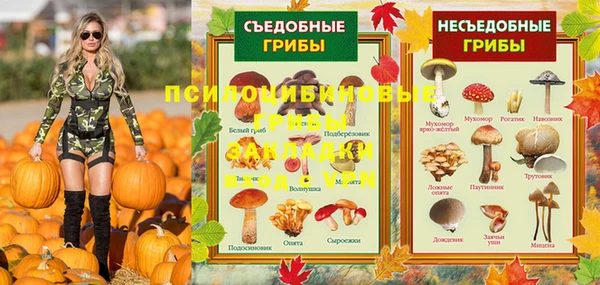 твердый Магас