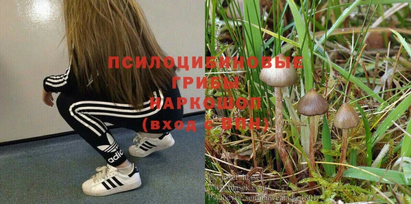 эйфоретик Магадан
